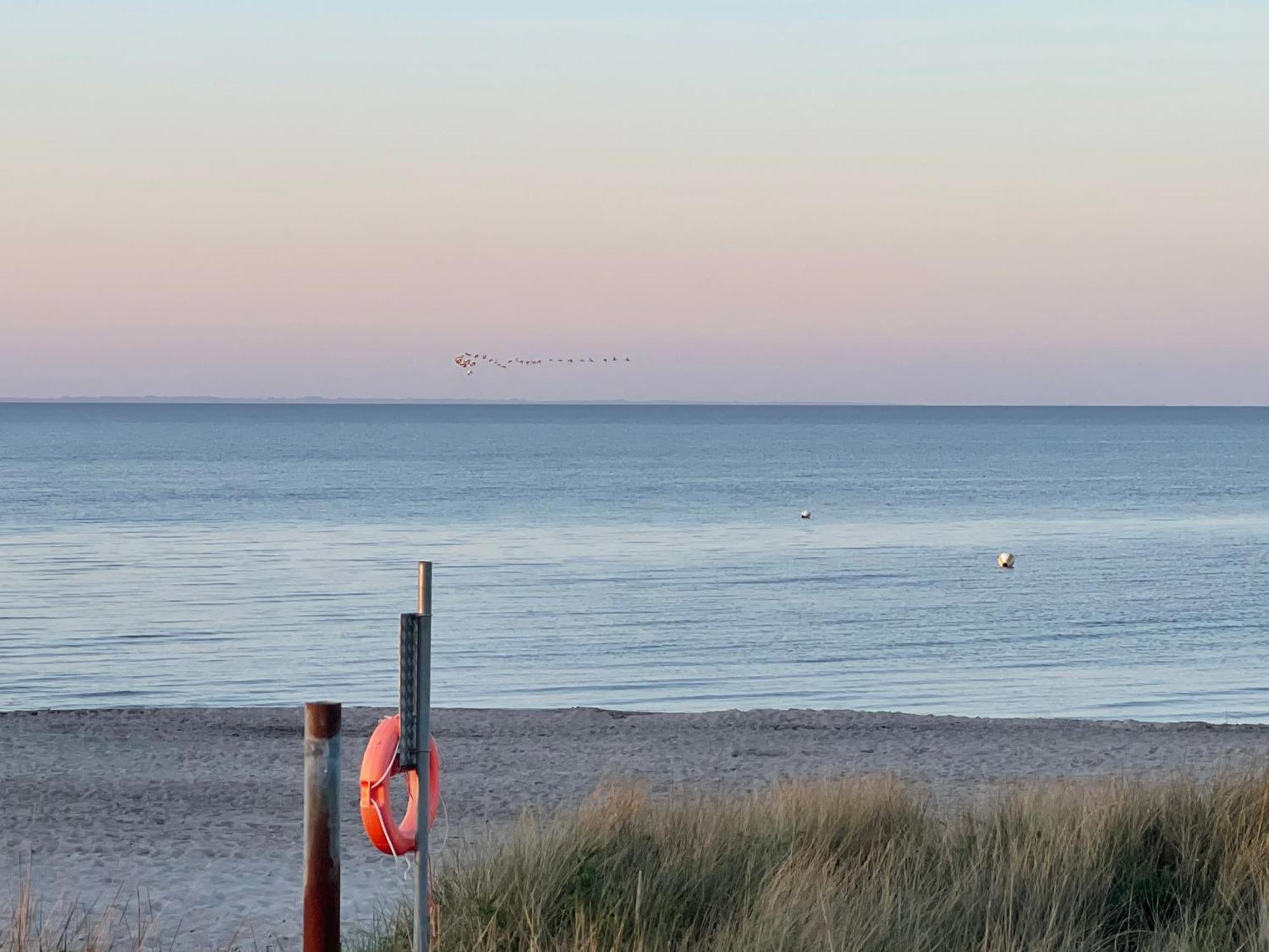 Strandzone 29 Kronsgaard 外观 照片